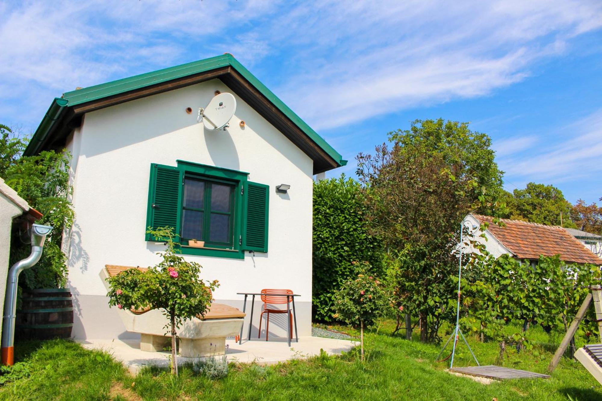 Kellerstoeckl Am Berg Villa Eisenberg an der Pinka Exterior photo